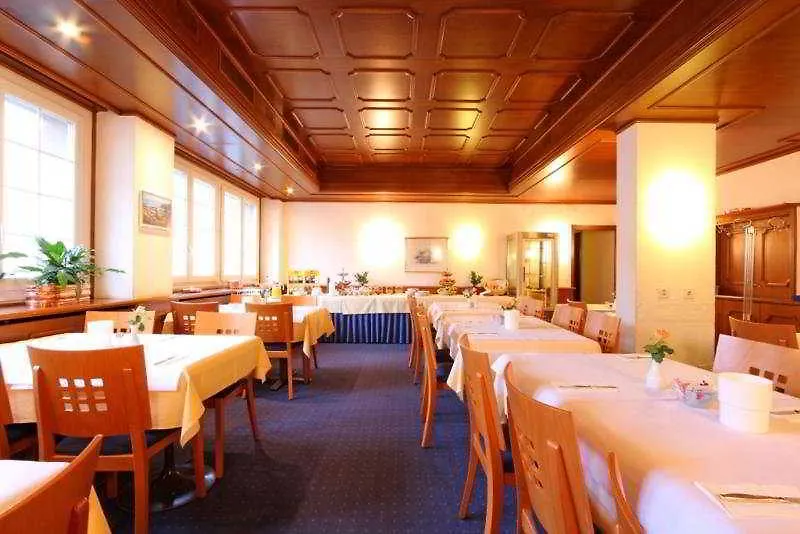 Hotel Muenchnerhof Basilej 2*,